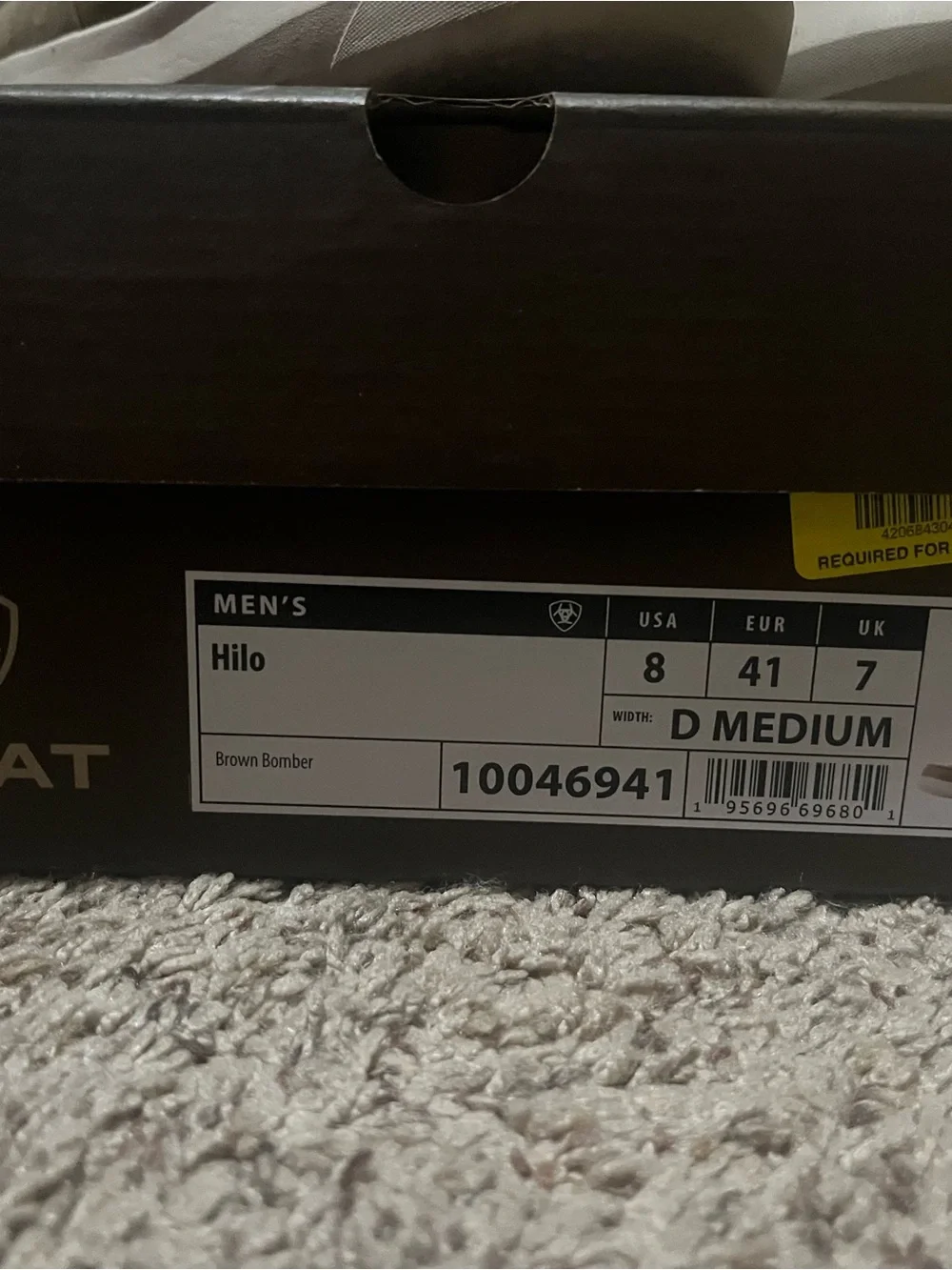 Men’s Ariat shoes